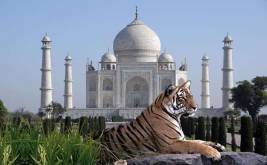 Taj Mahal with Sawai Madhopur Tour