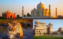 Taj Mahal with Tiger Safari